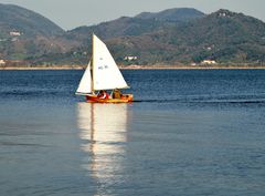 rèserve du lac de massaciuccoli, torre del lago , toscane