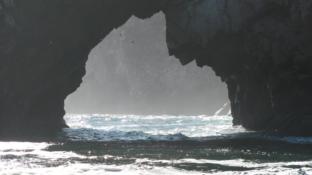 Reserve marine de Paracas