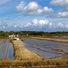 Reserve Naturelle de Mullembourg