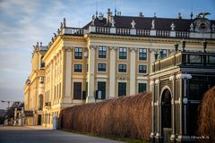 Reservegarten Schönbrunn