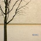 Reservierung | Reservation