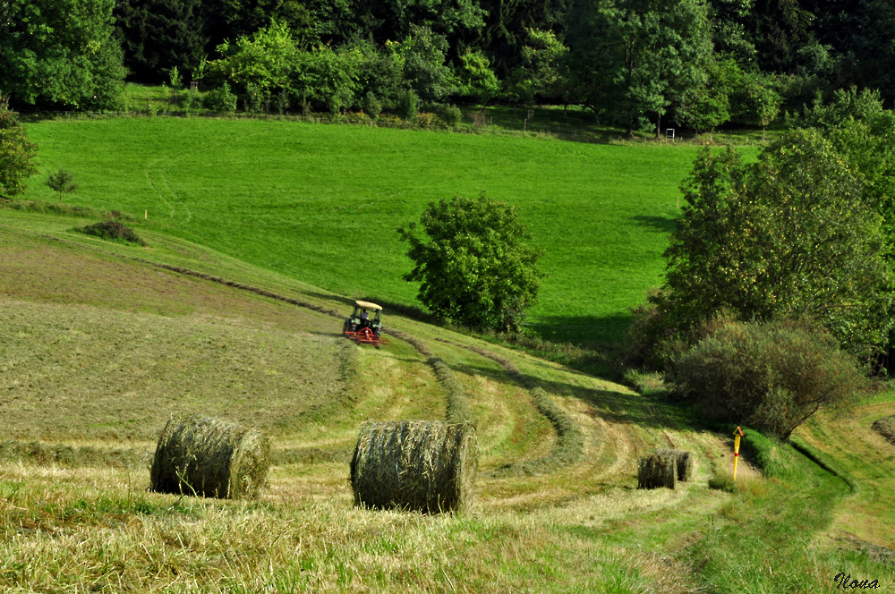 "Resi i hol di mit dem Traktor ab!"...