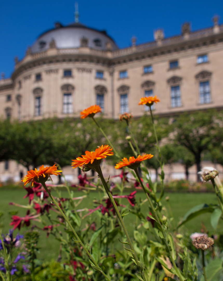 Residenz zu Würzburg