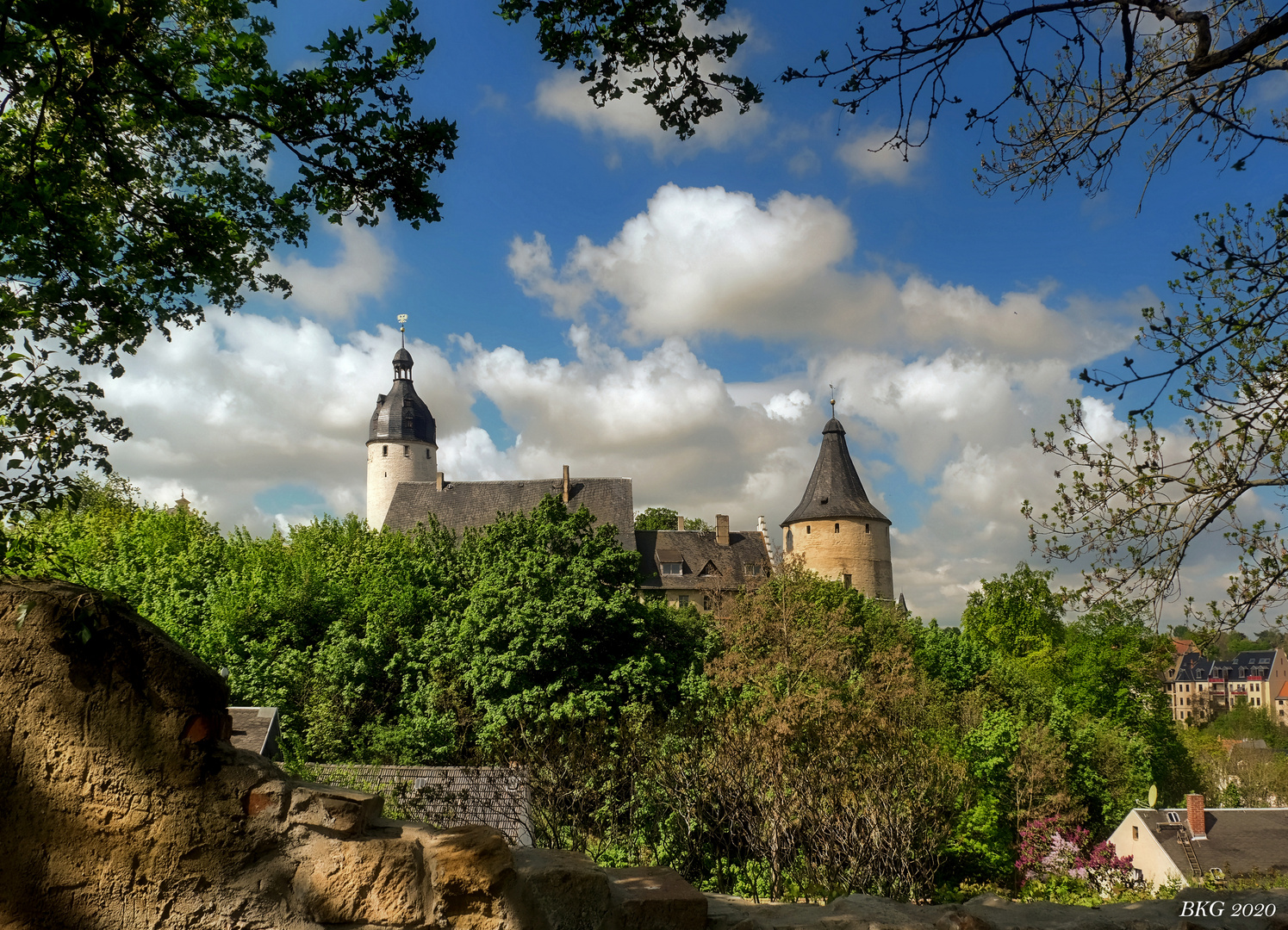 Residenzschloss Altenburg