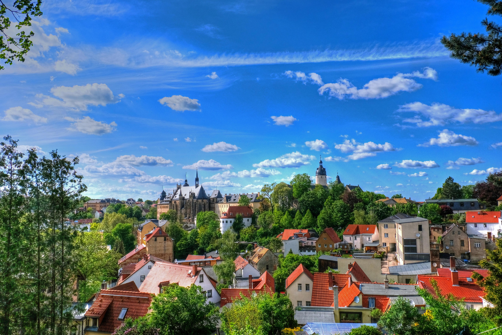 Residenzschloss Altenburg im Mailicht