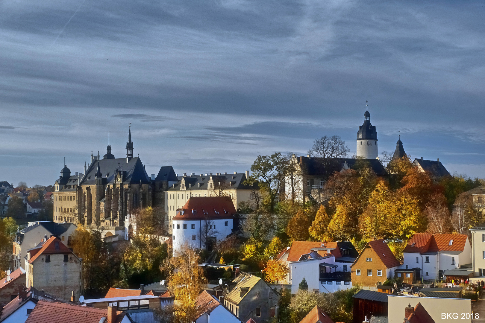 Residenzschloss Altenburg im November 