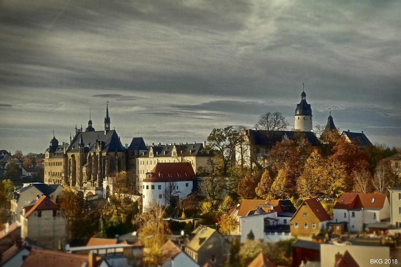 Residenzschloss Altenburg (Thüringen) im November