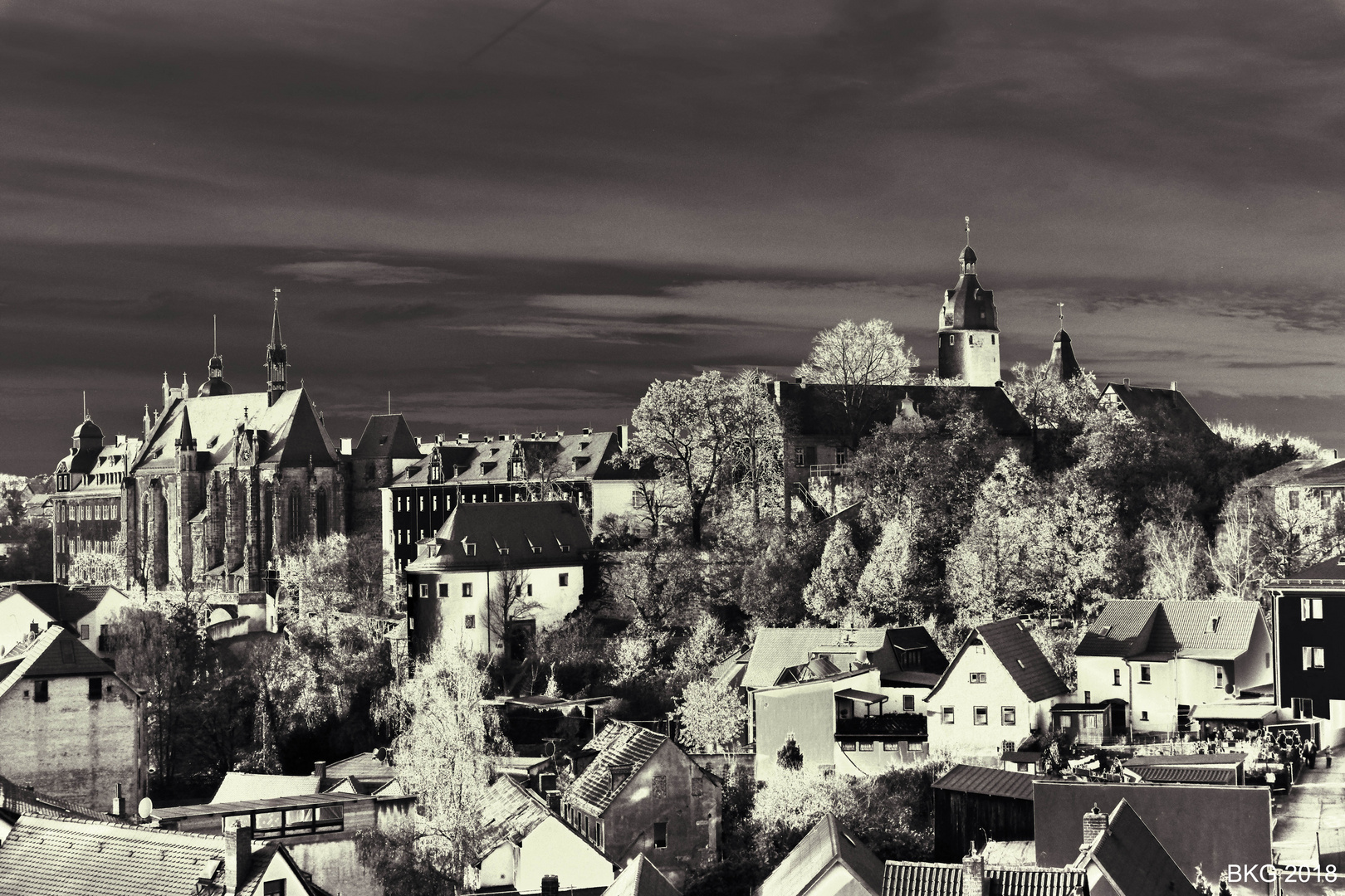 Residenzschloss Altenburg und Altstadt im Monochron-Modus 