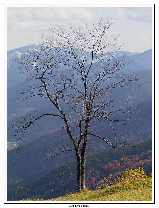 resisting in autumn