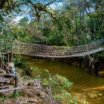 Resort in the jungle of Bolaven