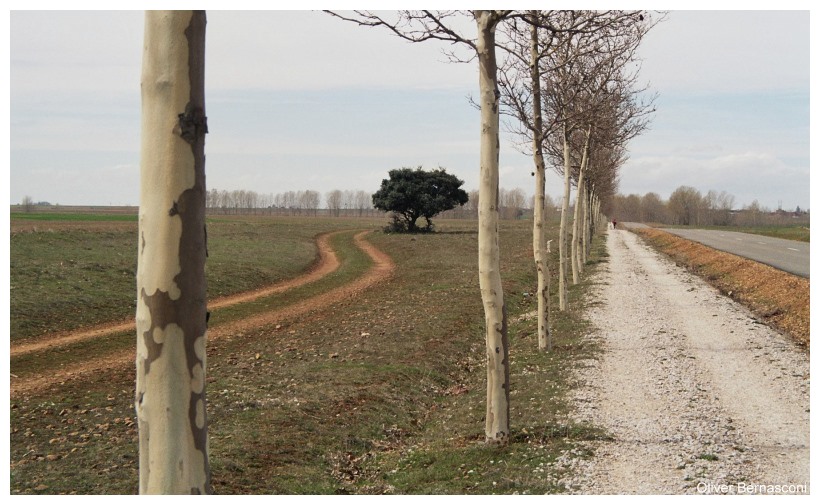 respektierte vs. gezähmte Natur