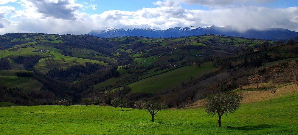 RESPIRI MARCHIGIANI