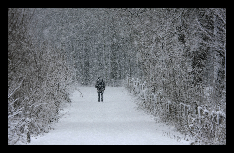 Resser Wald