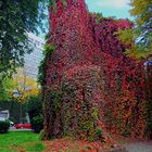 Rest der alten Stadtmauer im Herbst