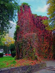 Rest der alten Stadtmauer im Herbst