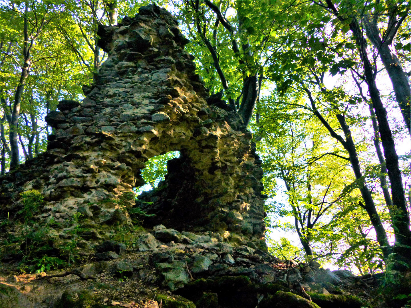 Rest der Burg Frauenstein