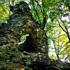 Rest der Burg Frauenstein