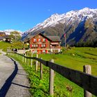 Rest . Edelweiss ,Golzern