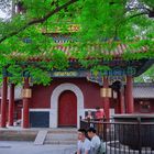 Rest in the Yonghe Temple complex