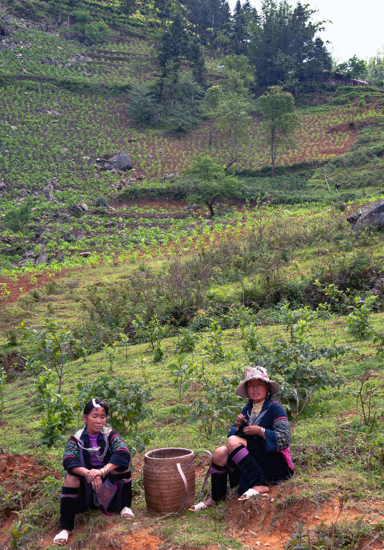 Rest stop during Sa Pa trekking