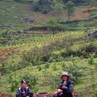 Rest stop during Sa Pa trekking