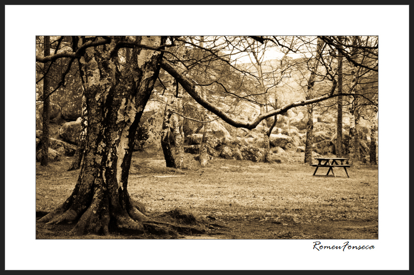 Rest under tree