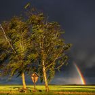 rest vom regenbogen