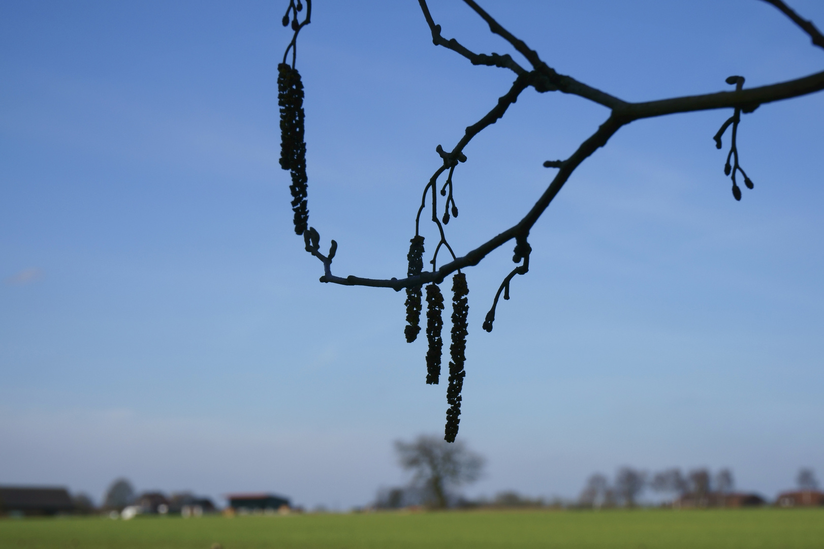 Rest vom Winter trifft aufkommenden Frühling