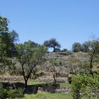 Restanques provençales ou Bancaou