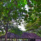 Restaurant cottage at Maguana beach