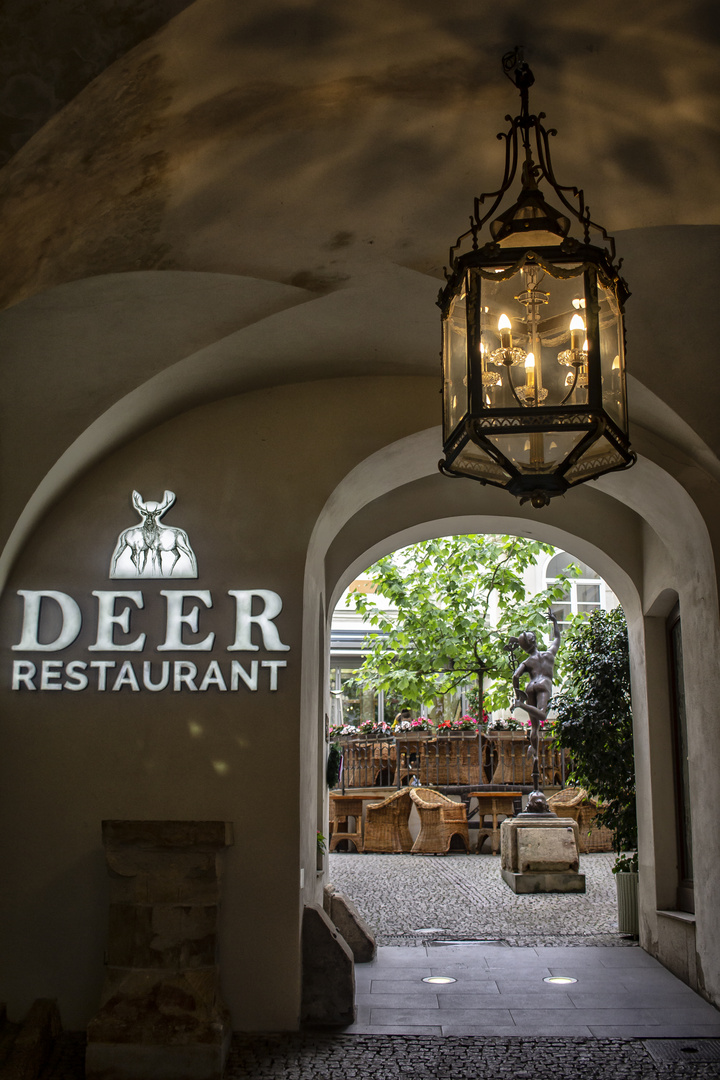 Restaurant Deer