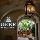 Restaurant Deer