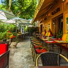 Restaurant in Saint Rémy de Provence