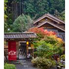 Restaurant in the mountains