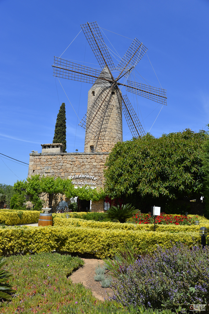 Restaurante Moli des Torrent