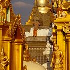 Restaurateur in der Shwedagon Pagode