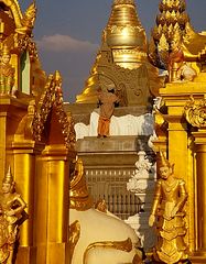 Restaurateur in der Shwedagon Pagode