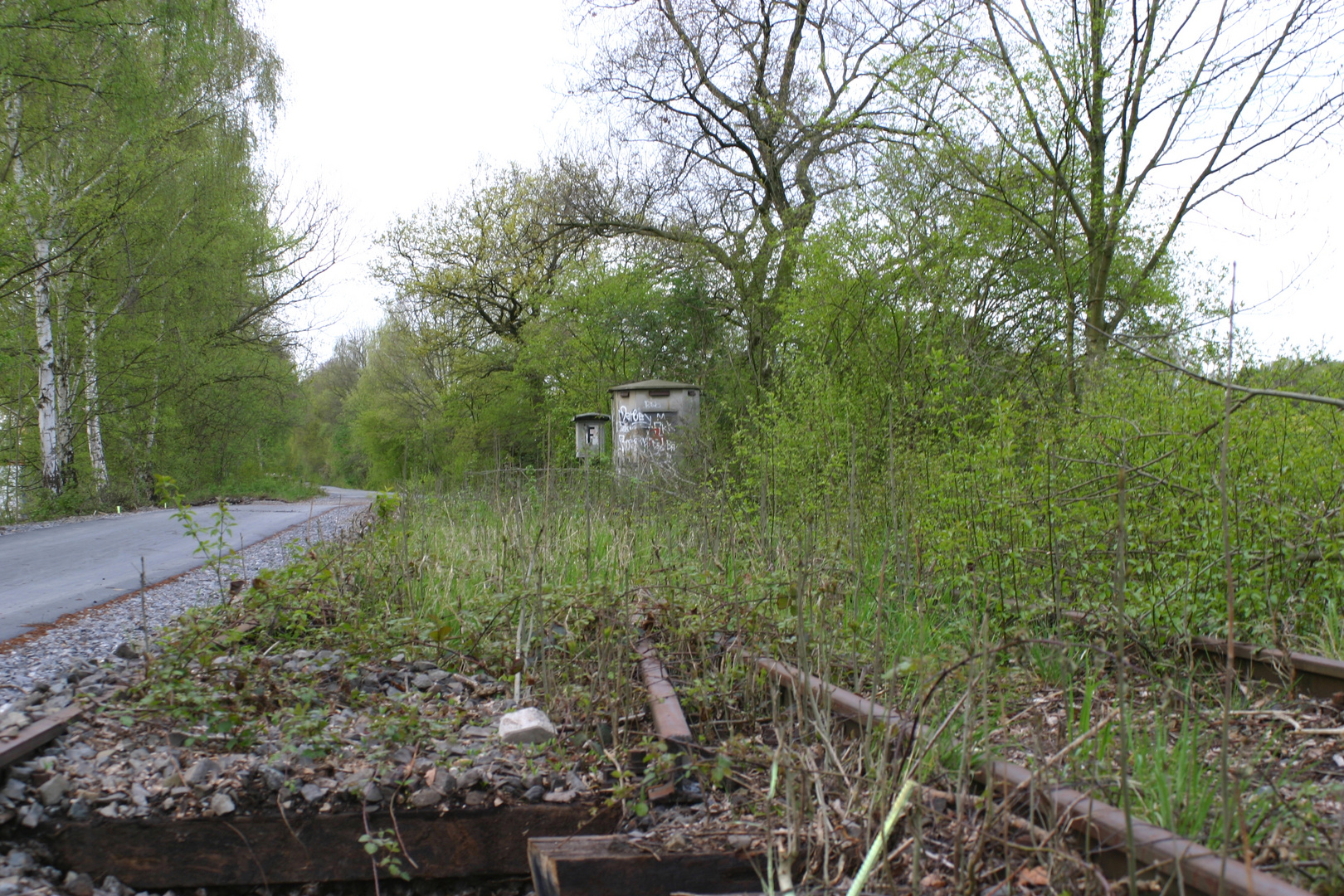 Reste der Strecke Rheinischer Esel (DB ex 331)