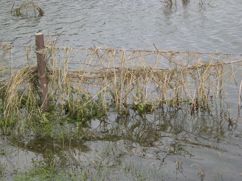 Reste des Rheinhochwassers