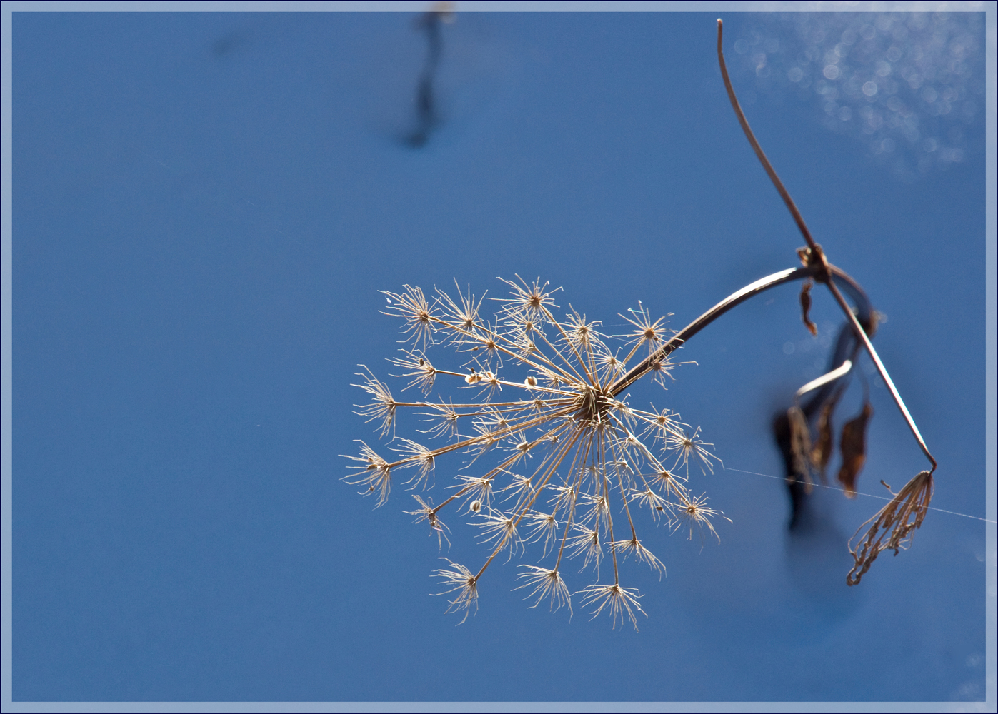 Reste des Sommers