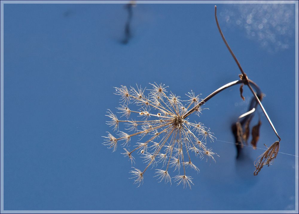 Reste des Sommers