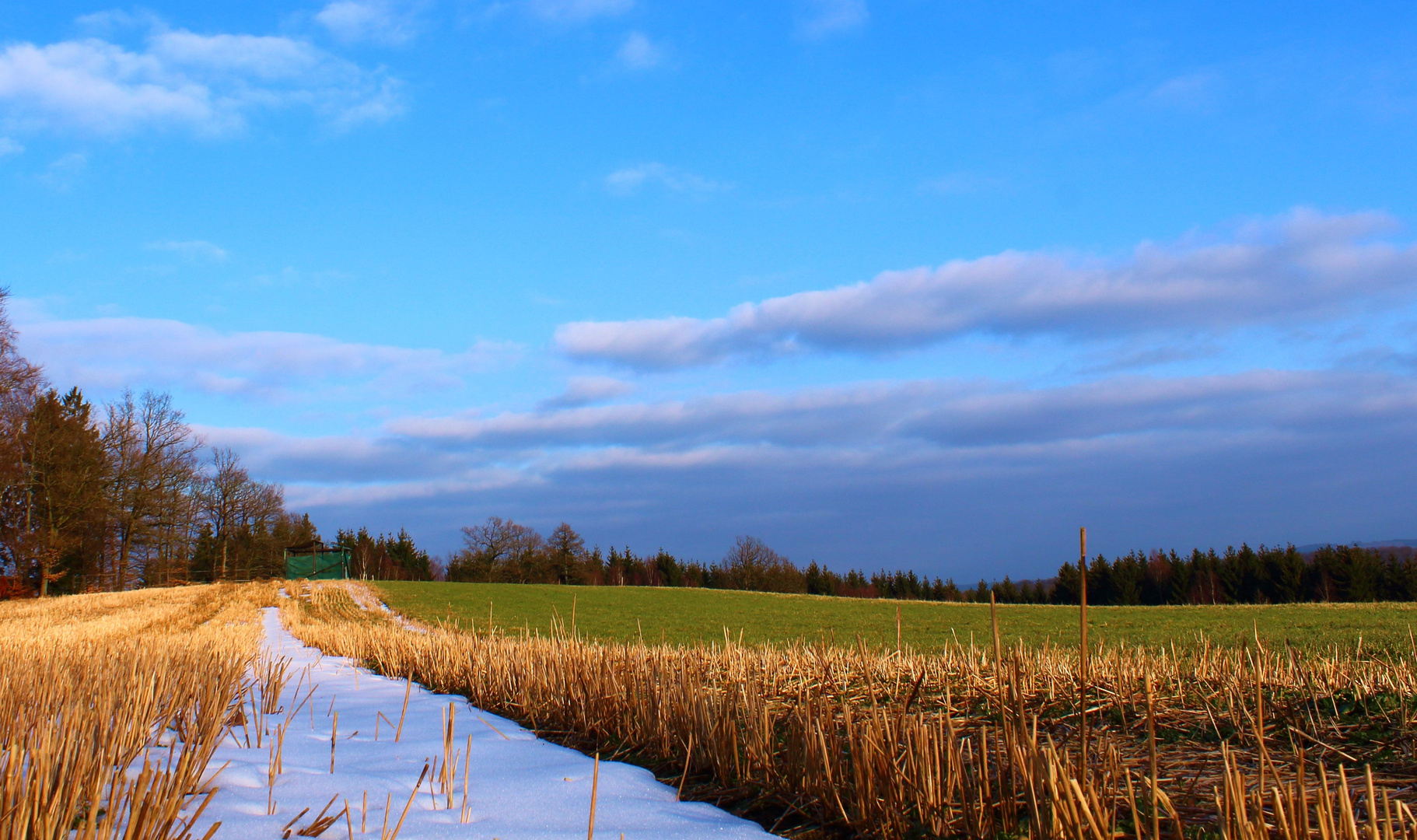 Reste des Winter