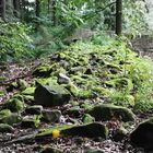 Reste einer keltischen Wallanlage (Heunischenburg)