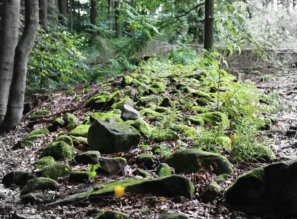 Reste einer keltischen Wallanlage (Heunischenburg)