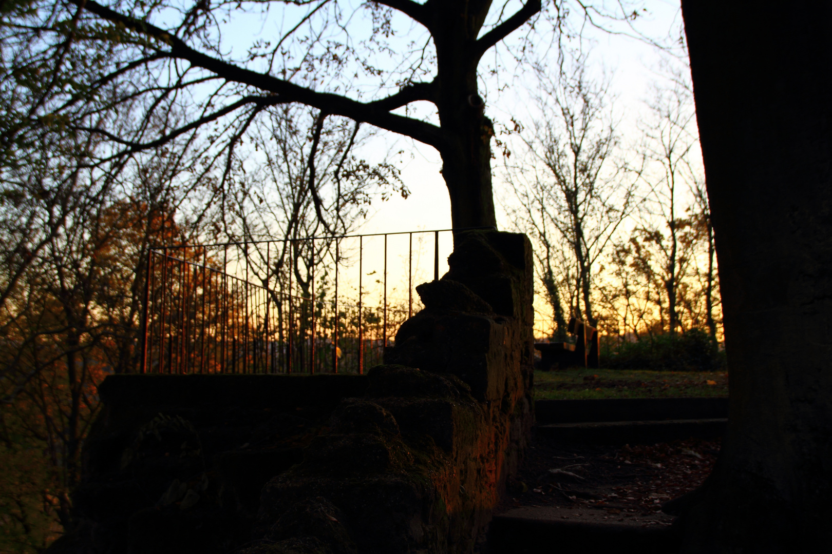 Reste einer Mauer im Wald