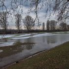 Reste vom Hochwasser am Rhein