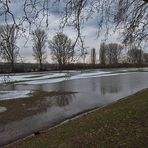 Reste vom Hochwasser am Rhein