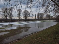 Reste vom Hochwasser am Rhein