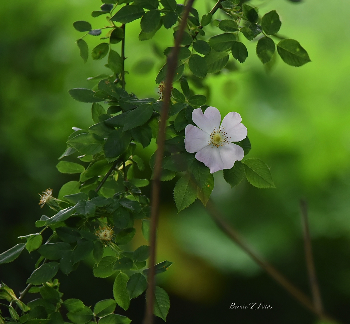 Rester dans le vert !