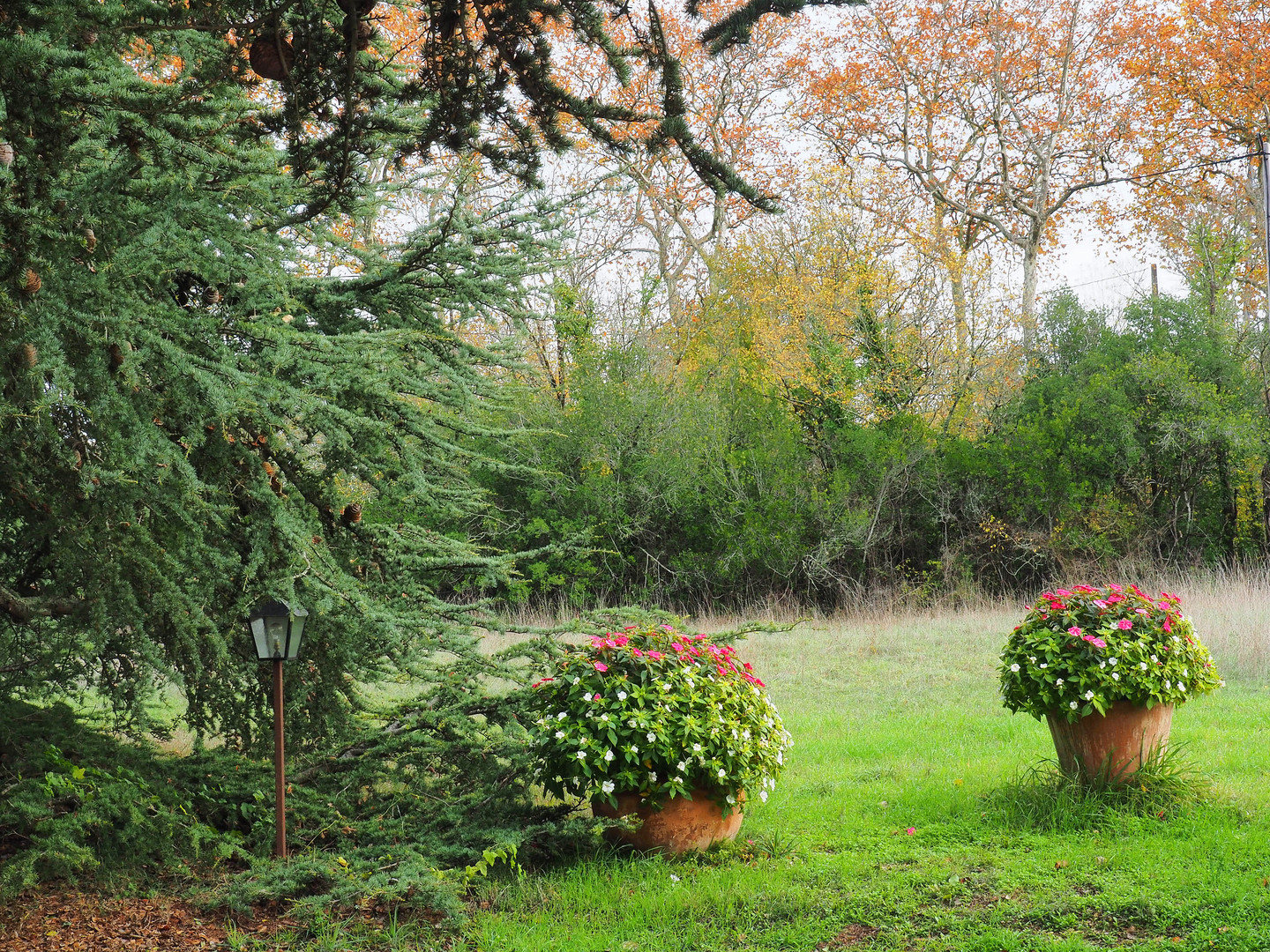 Restes d’été en automne